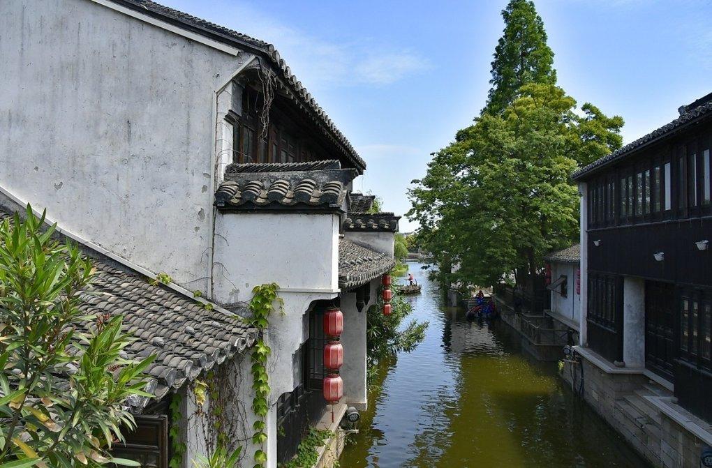 拯救蝙蝠家族